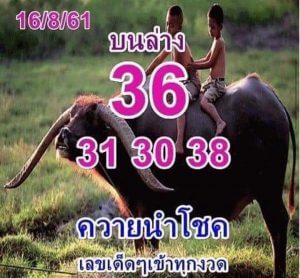 หวยเด็ดควายนำโชค16/8/61