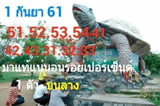  หวยเต่างอย1/9/61