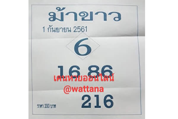 หวยม้าขาว1/9/61