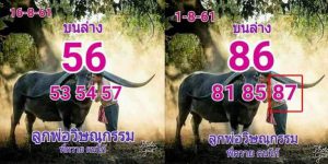 หวยลูกพ่อวิษณุกรรม16/8/61