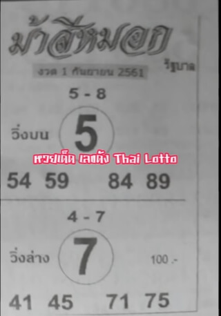 ม้าสีหมอก1/9/61