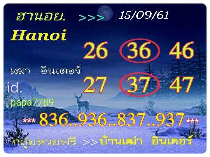 ฮานอยวันนี้ 15/9/61