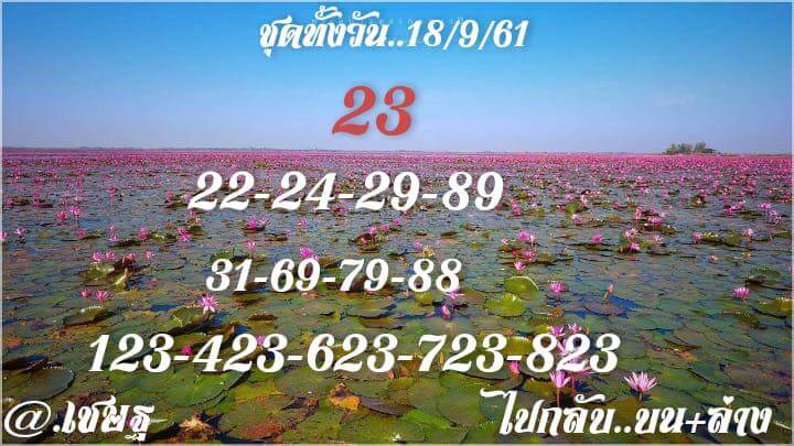 รวมชุดหวยหุ้นแม่นๆ18/9/61 8