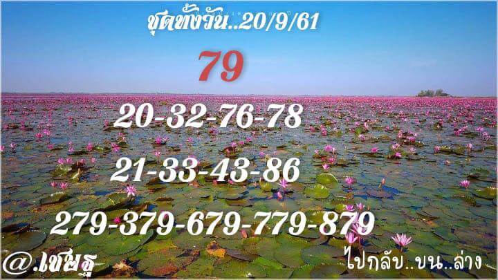 รวมชุดหวยหุ้นเด็ดๆ20/9/61 7