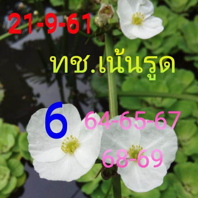 รวมชุดหวยหุ้นเด็ดๆ21/9/61 11