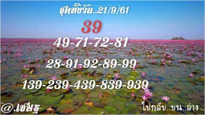 รวมชุดหวยหุ้นเด็ดๆ21/9/61 4