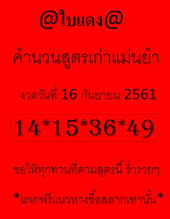 หวยใบแดง16/9/61