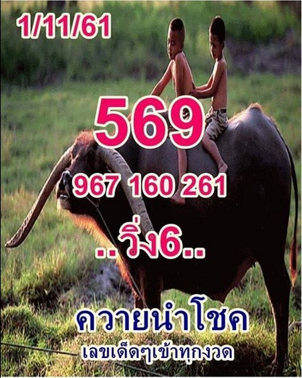 เลขเด็ดควายนำโชค1/11/61