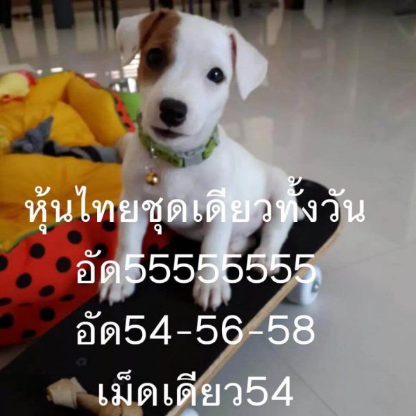 แจกหวยหุ้นแม่นๆ4/10/61 9