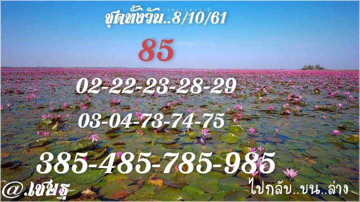 รวมชุดหวยหุ้นแม่นๆ8/10/61 4