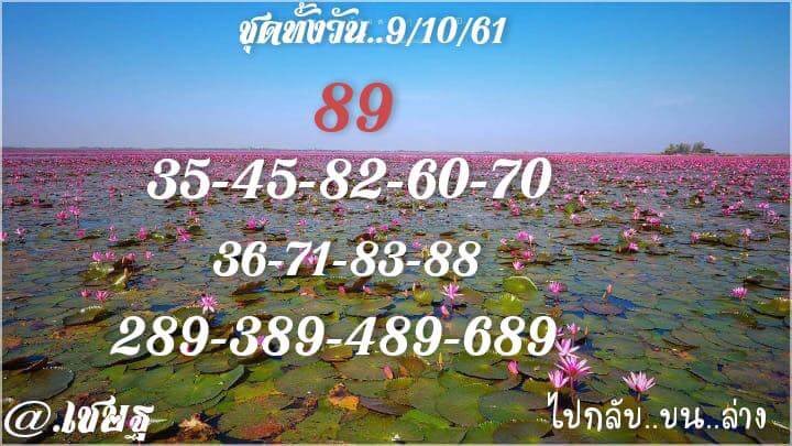 รวมชุดหวยหุ้น9/10/61 3