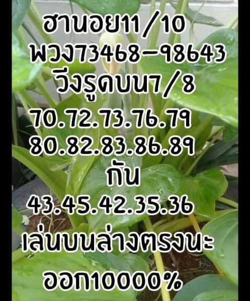 นอย 11/10/61