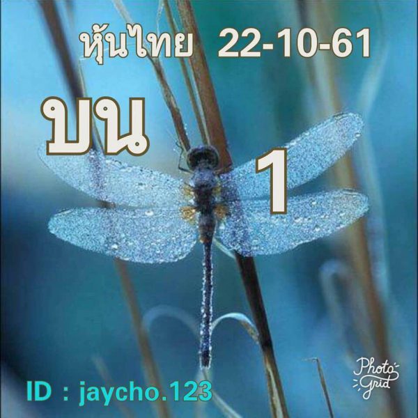 หวยหุ้นชุดทั้งวัน22/10/61 6