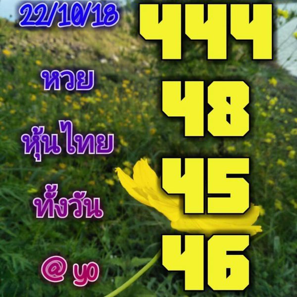 หวยหุ้นชุดทั้งวัน22/10/61 1