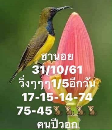 หวยฮานอยย้อนหลัง 31/10/61