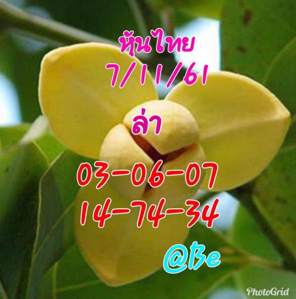 หวยหุ้นชุดทั้งวัน7/11/61 6