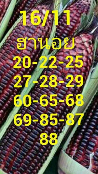 สูตรหวยฮานอย 16/11/61