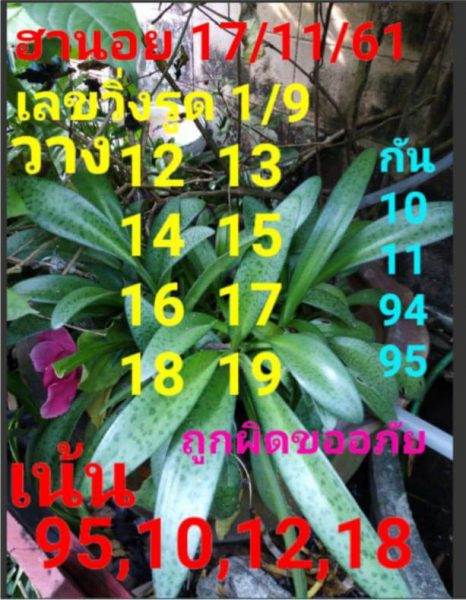 หวยฮานอยเด่น 17/11/61