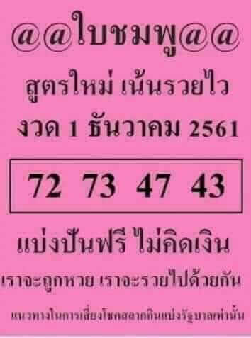 หวยใบชมพู1/12/61