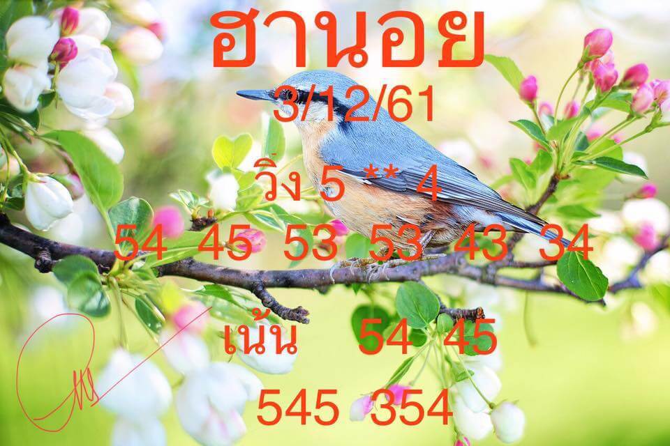 หวย ฮานอย วัน นี้ ออก ตัว ไหน ล่าสุด 3/12/61