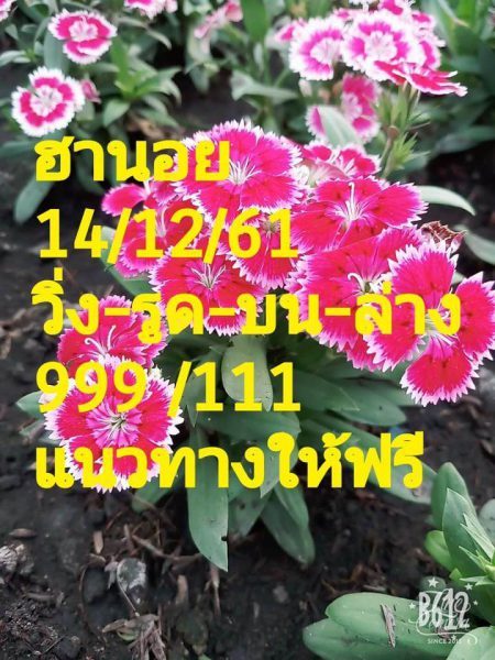 ฮานอยวันนี้14/12/61