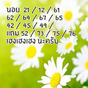 หวยฮานอยย้อนหลัง 21/12/61