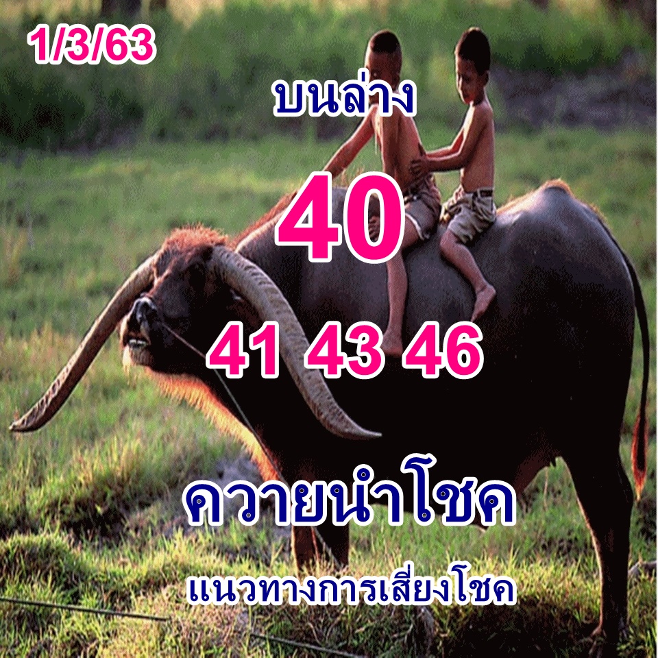 หวยควายนำโชค 1/3/63