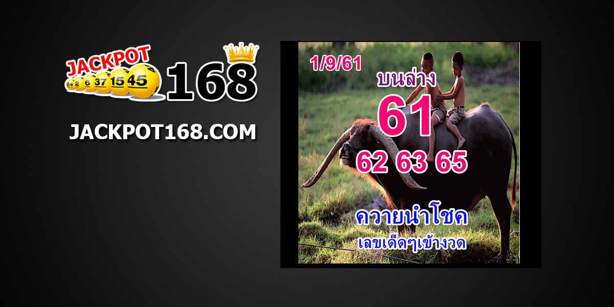 หวยควายนำโชค1/9/61