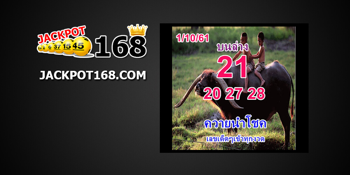 หวยควายนำโชค1/10/61