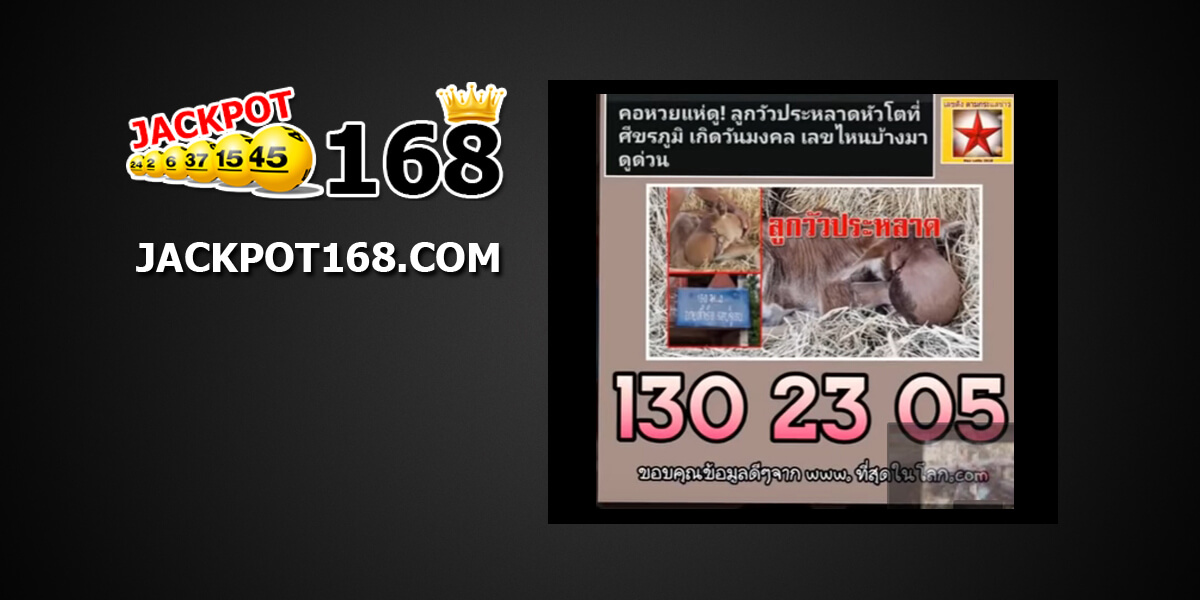 หวยลูกวัวประหลาด1/11/61