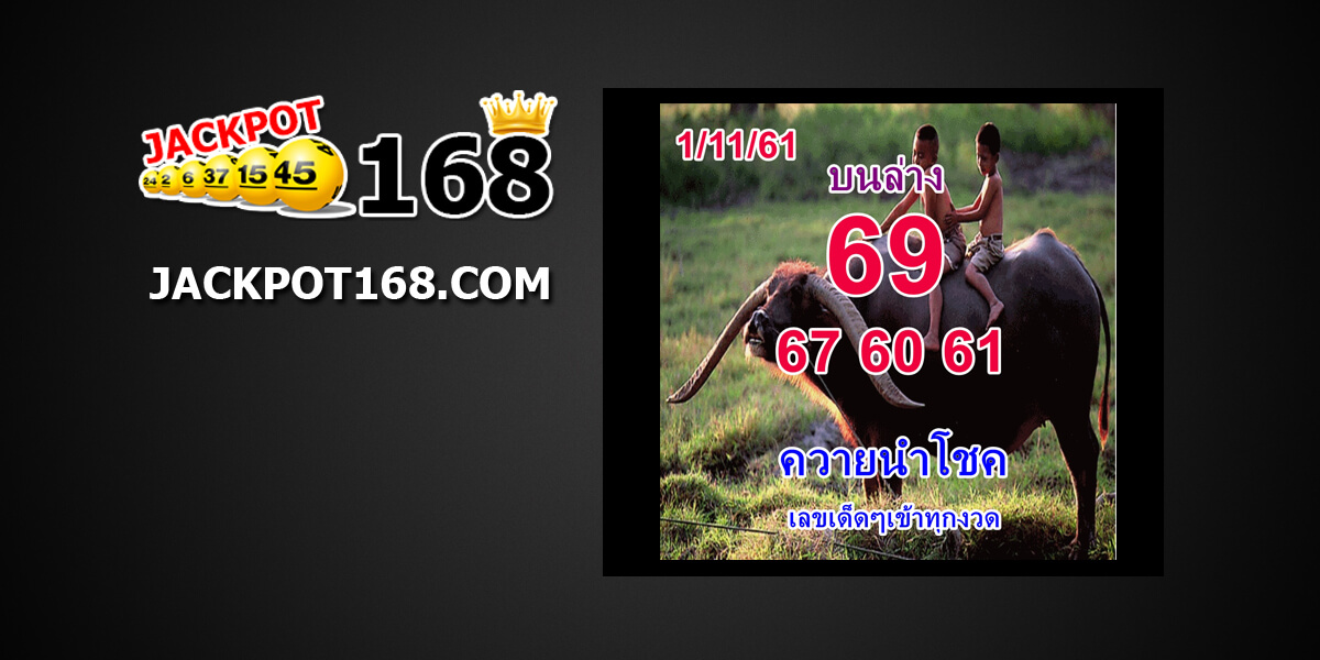 หวยควายนำโชค1/11/61