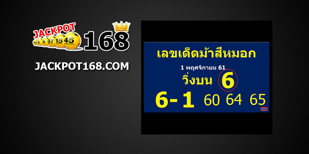 เลขม้าสีหมอก1/11/61