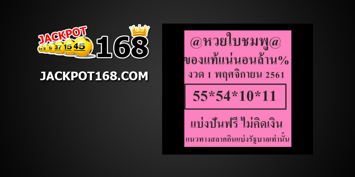 หวยใบชมพู1/11/61