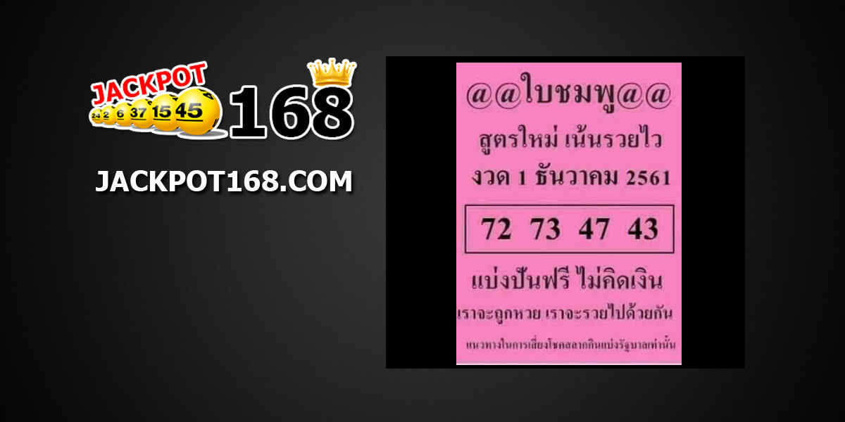 หวยใบชมพู1/12/61