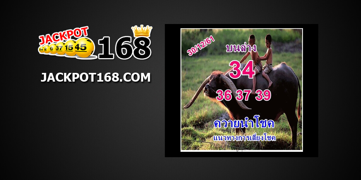 หวยควายนำโชค30/12/61