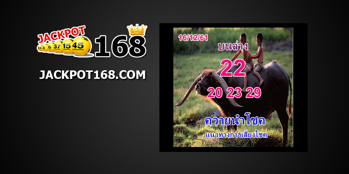 หวยควายนำโชค16/12/61