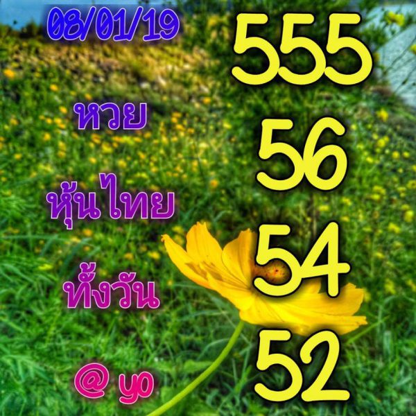 หุ้นเด่นวันนี้ 8/01/61