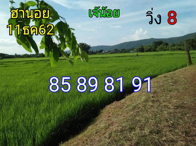 ฮานอยพารวยวันนี้ 11/1/62