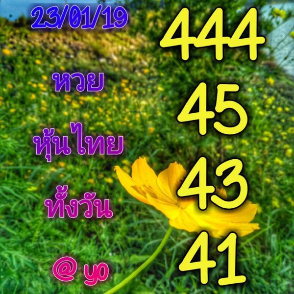 สูตร หวย หุ้น 4 รอบ หวยหุ้นเด่นวันนี้ 23/1/62