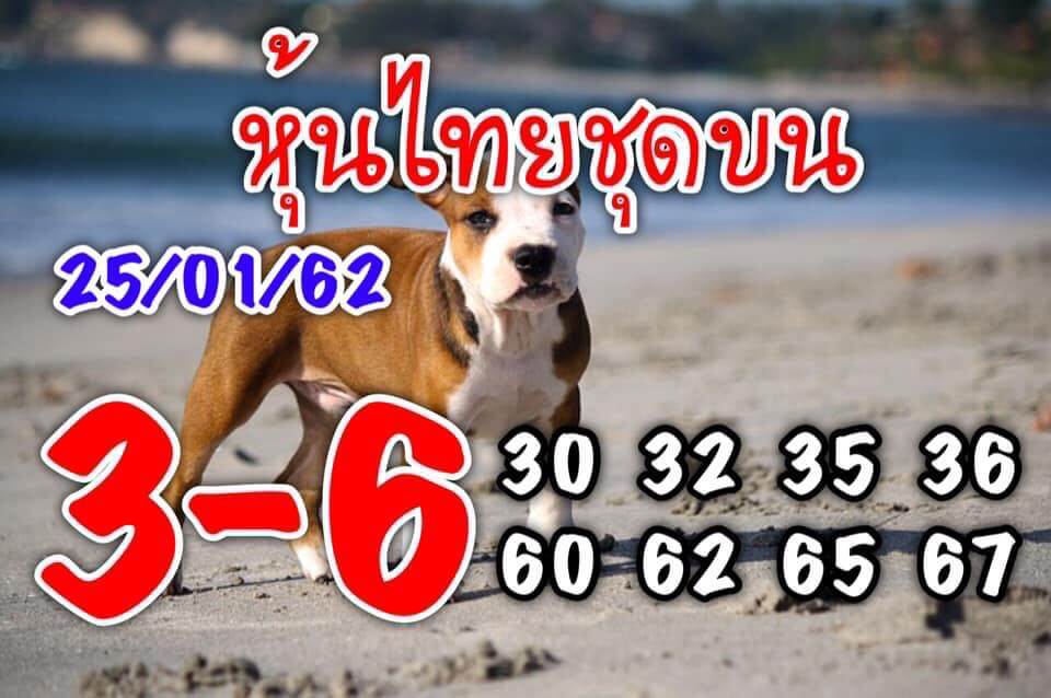 หวยหุ้น 25/1/62