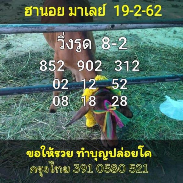 เซียนหวยฮานอย หวยฮานอย 19/1/62