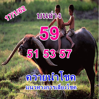 หวยควายนำโชค 17/1/61