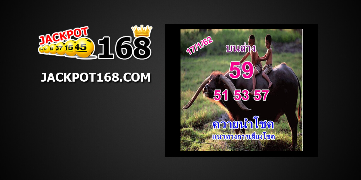 หวยควายนำโชค 17/1/61