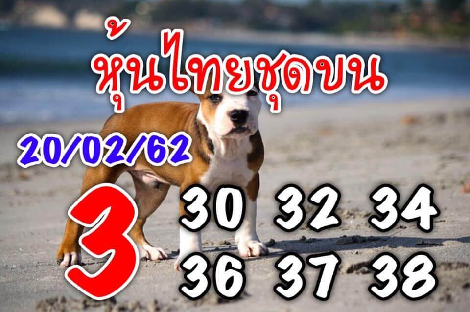 หวยหุ้น 20/2/62 8