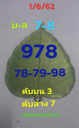 เลขเด็ดใบโพธิ์ 1/6/62