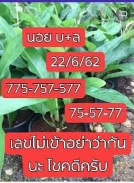 หวยฮานอย 22/6/62 7