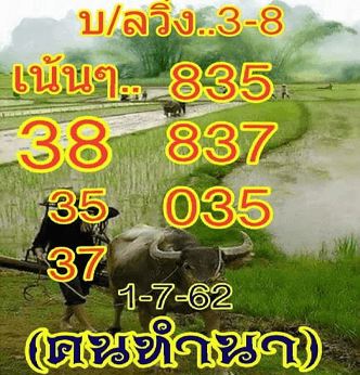 คนทำนา 1/7/62