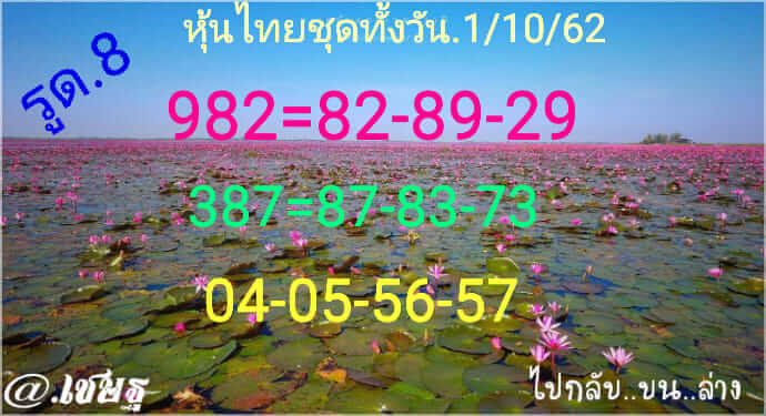 หวยหุ้น ชุดที่8