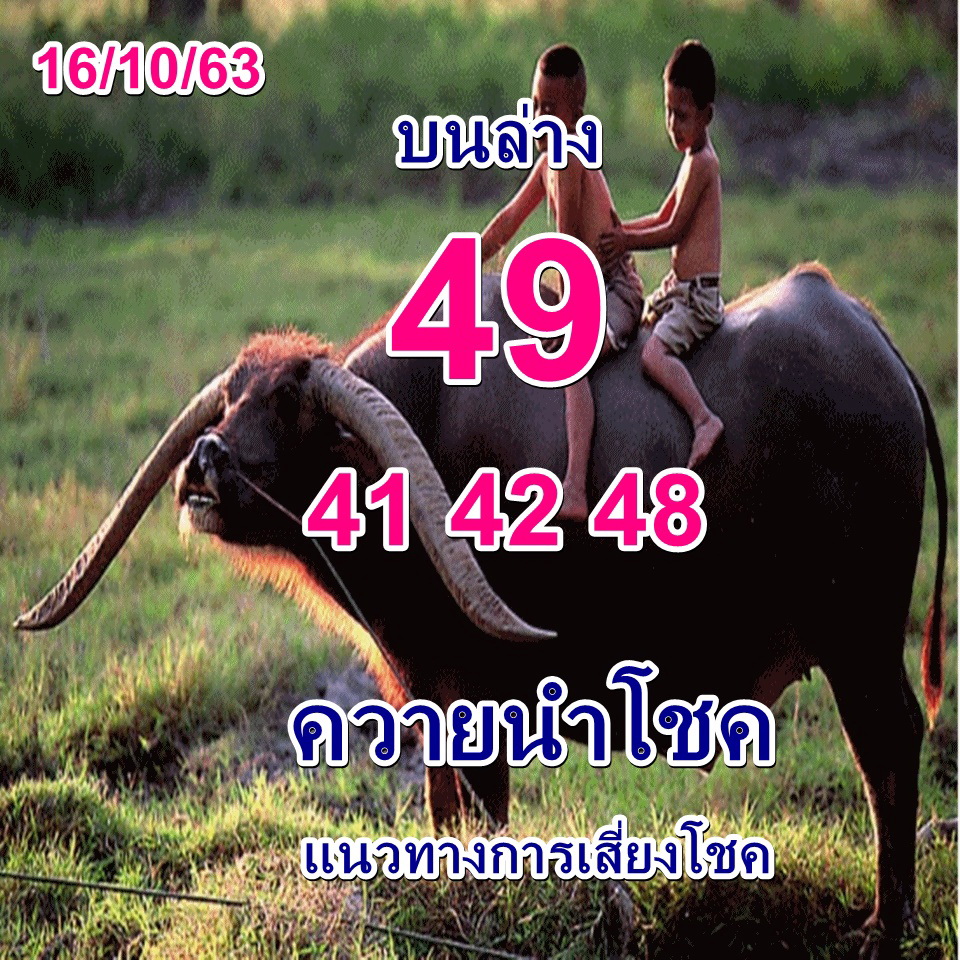 หวยควายนำโชค 16/10/63