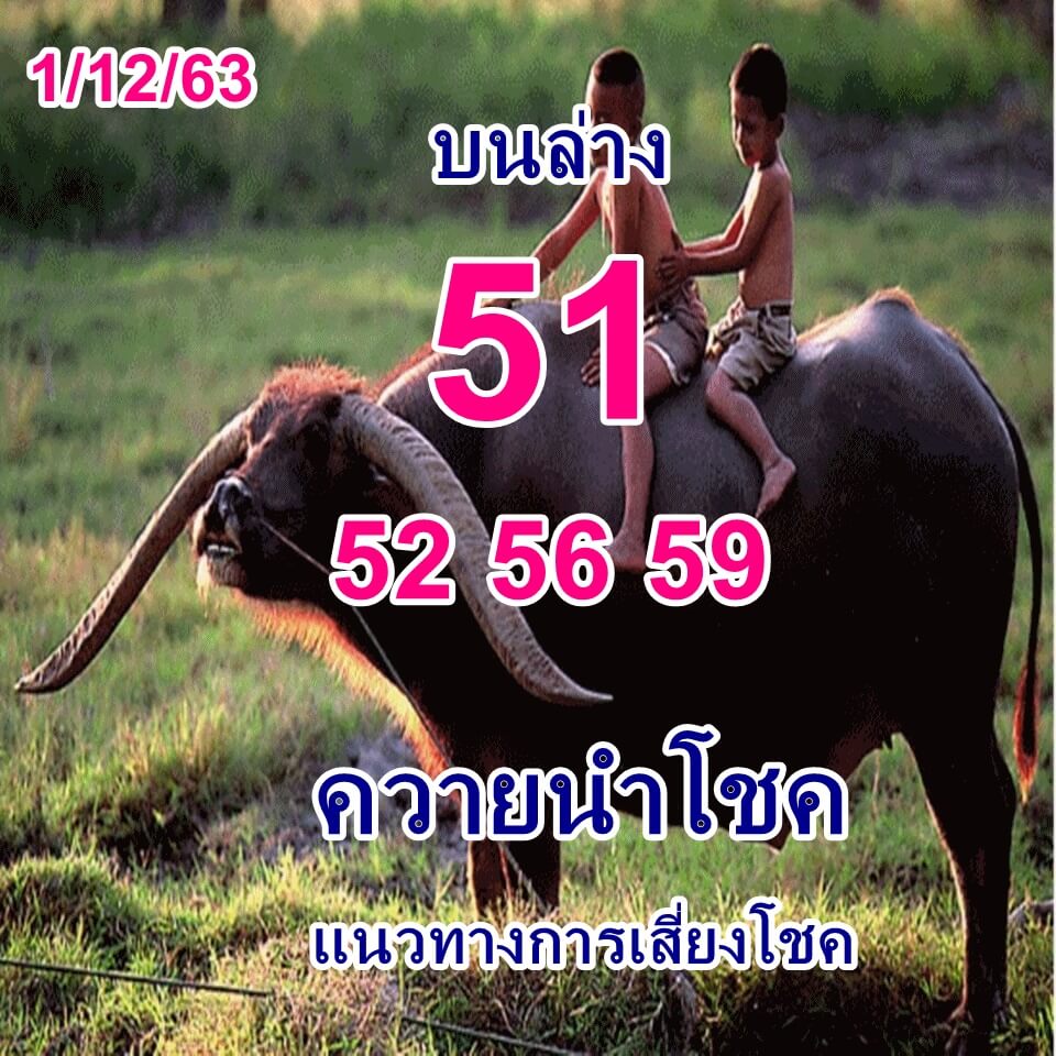 หวยควายนำโชค 1/12/63